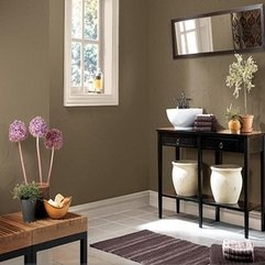 Dark Brown Paint Different Shades - Karbonix