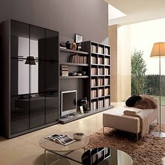 Best Inspirations : Decor Pics With Bookcase Living Room - Karbonix