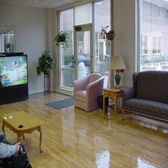 Best Inspirations : Decor Pics With Hanging Plants Living Room - Karbonix