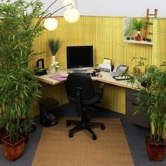 Decorate An Office Awesome How - Karbonix