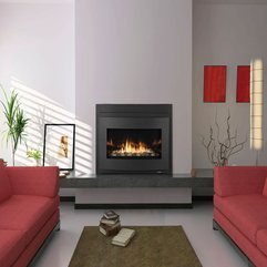 Decorating Ideas Charming Rectangular Steel Fireplace Insert For - Karbonix