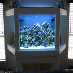 Decoration Ideas In House Fish Tank - Karbonix