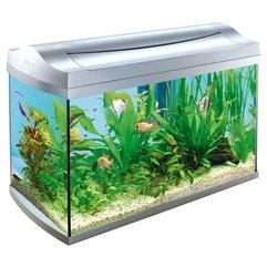 Design Idea Of Aquarium - Karbonix