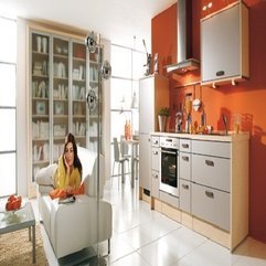 Best Inspirations : Design Ideas Orange Kitchen - Karbonix