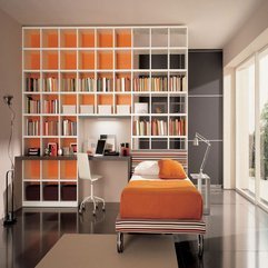 Best Inspirations : Design Pictures Home Library - Karbonix