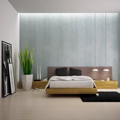 Design Pictures Sophisticated Bedroom - Karbonix