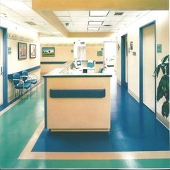 Design Renovation Roosevelt Hospital Hospital Interior - Karbonix