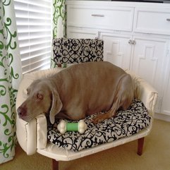 Best Inspirations : Dog Beds Made Of Wood Creme Beautiful - Karbonix
