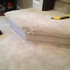 Dog Chewed Steps Of Beautiful Carpet Owner Not Happy - Karbonix