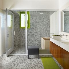 Door For Shower Area1 Transparent Glazed - Karbonix