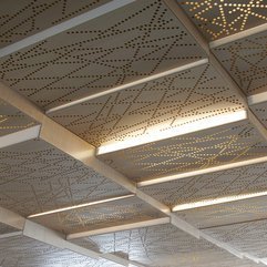Dotted Ceiling Dynamic - Karbonix