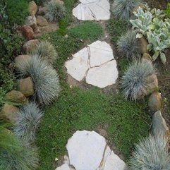 Edging Stones Backyard Landscaping - Karbonix