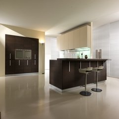 Elegant Kitchen Interior Design Ideas Modern - Karbonix