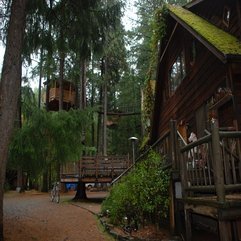 Best-inspirations : Exceptional Tree House Hotel Creativity Artworks Architecture ~ Karbonix