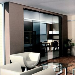 Best Inspirations : Exquisite Sliding Room Dividers Black Glass Design As Divider - Karbonix
