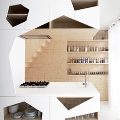 Fancy Wooden Storage White Kitchen - Karbonix