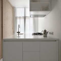 Fantastic Fabulous Apartment Kitchen Picture - Karbonix