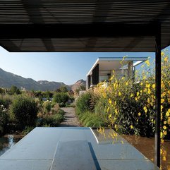 Floor With Small Path Between Green Plants Grey - Karbonix