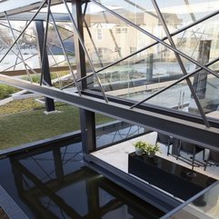 Flowers Pot Placed On Glossy Black Table Viewed From Upper Level Small Yellow - Karbonix