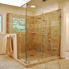 Frameless Shower Doors Of Picture Modern - Karbonix