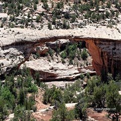 Fran West Natural Bridges Naturally Bridge The Gap - Karbonix