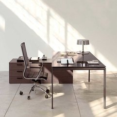 Furniture Ideas For 2012 Simple Office - Karbonix