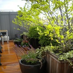 Best Inspirations : Garden Simple Rooftop - Karbonix
