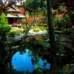 Garden Traditional Japanese - Karbonix