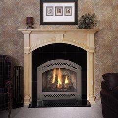 Gas Fireplaces Ideas Top Vented - Karbonix