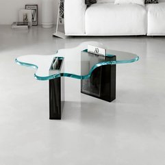 Glass Table With Book Case Contemporary Coffee - Karbonix