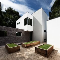 Grass Planted In Square Wooden Box In Residence Yard In Green - Karbonix