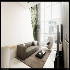 Gray Sofas And Rug Living Room - Karbonix