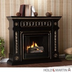 Holly Amp Martin 37 000 031 6 01 Cain Gel Fireplace With Gold Accents - Karbonix