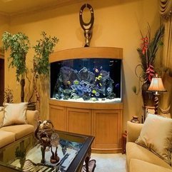 Home Aquarium Interior - Karbonix
