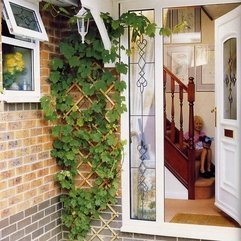 Best Inspirations : House Decoration With Fresh Vines Looks Gorgeous - Karbonix
