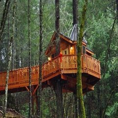 House Resort Oregon Best Tree - Karbonix