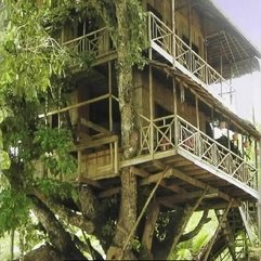 House Resort Oregon Ethnic Tree - Karbonix