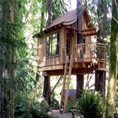 Best Inspirations : House Resort Oregon Fresh Tree - Karbonix
