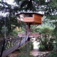 House Resort Oregon Great Tree - Karbonix