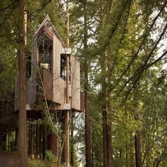 Best Inspirations : House Resort Oregon Large Tree - Karbonix
