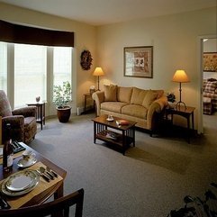 Ideas For Apartment Living Rooms Best Decorating - Karbonix