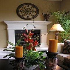 Ideas For Fireplaces Classic Decor - Karbonix