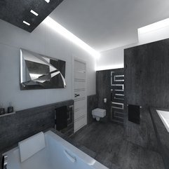 Ideas Gray Bathroom Elegant Innovative - Karbonix