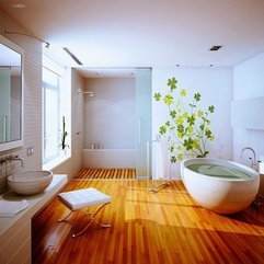 Ideas Pictures Bathroom Design - Karbonix