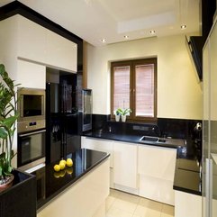 Best Inspirations : Ideas Small Spaces With Ornamental Plants Kitchen Remodel - Karbonix