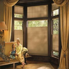 Best Inspirations : Image Window Shades - Karbonix