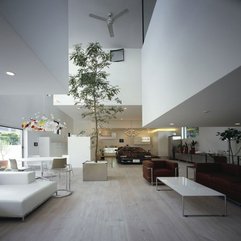 Best Inspirations : Impressive Natural Eco Friendly Apartment Living Room Trend - Karbonix