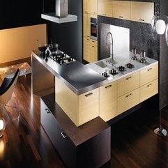 Interior Design Lavish Kitchen - Karbonix