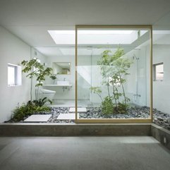 Interior Enchanting Transparent Glass Wall With Captivating Green - Karbonix