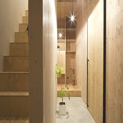 Interior Timber Staircase At The Ant House Looks Cool - Karbonix